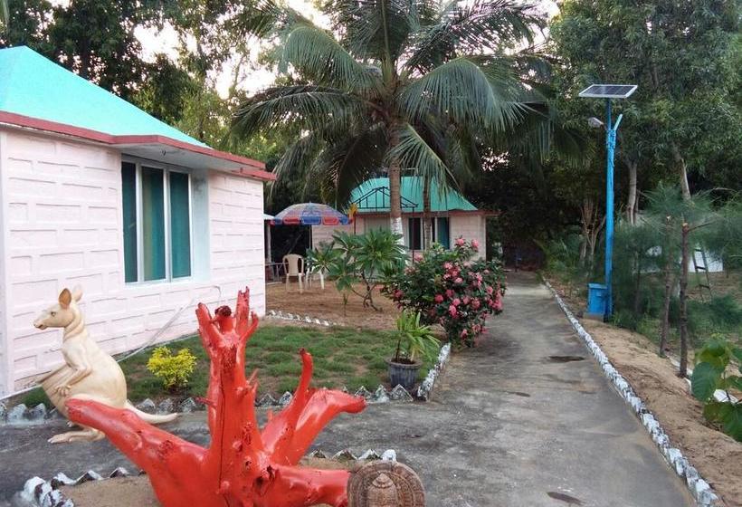 Daaven S Island Resort 4