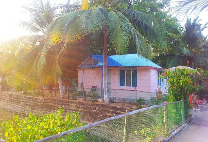 Daaven S Island Resort 8