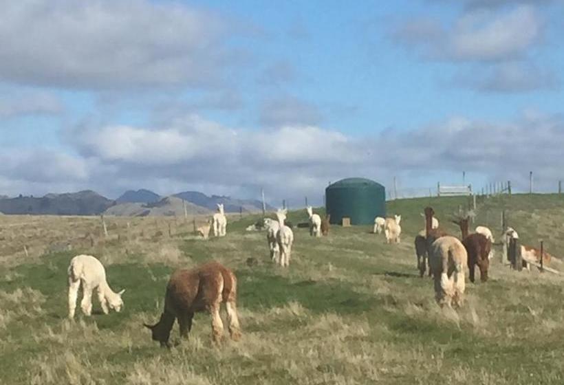 Bed and Breakfast Falcon S Rise Alpaca Farm 17