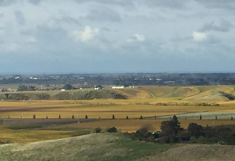 Bed and Breakfast Falcon S Rise Alpaca Farm 18