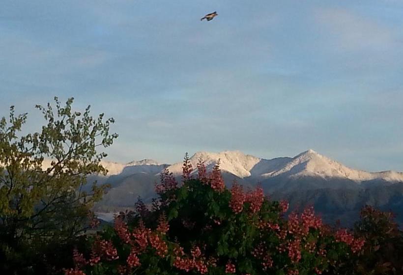 Bed and Breakfast Falcon S Rise Alpaca Farm 20