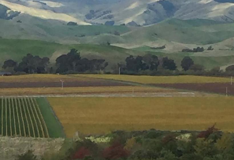 Bed and Breakfast Falcon S Rise Alpaca Farm 8