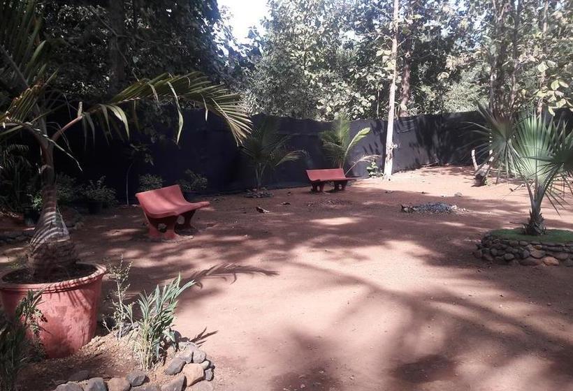 Hotel The Chill Inn Restaurant & Luxury Hut S 12