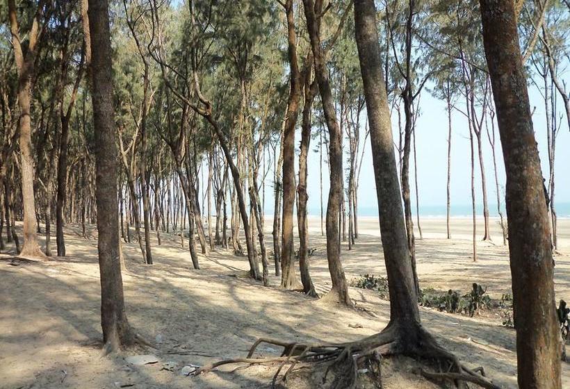 Neelanjana S Hotel Hindustan 10