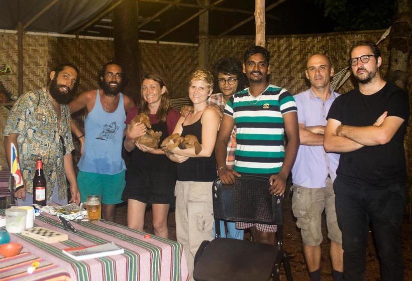 Bed and Breakfast Seinfeld S Cafe And Hostel Anjuna Goa