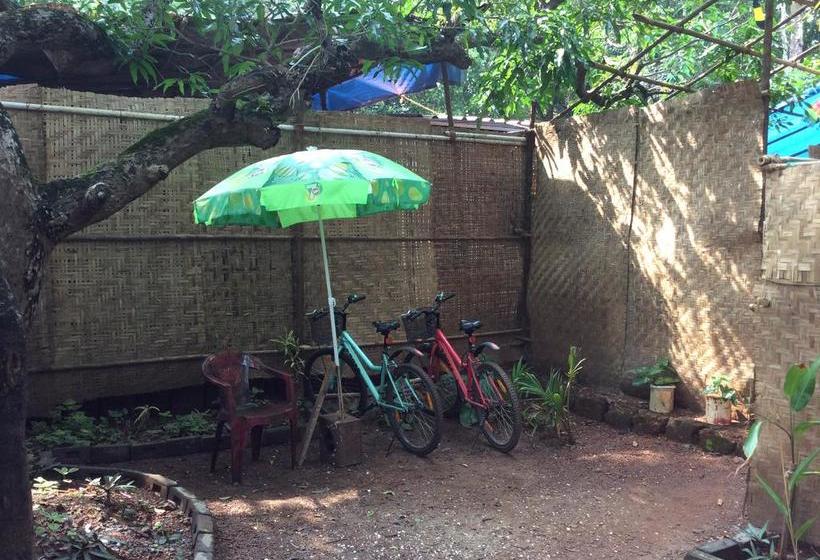 Bed & Breakfast Seinfeld S Cafe And Hostel 9