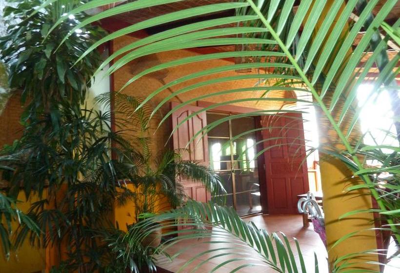 Resort Old Tree S House 9