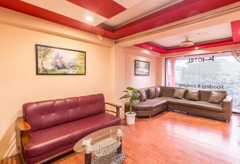 Oyo 4919 Hotel Dream City 2