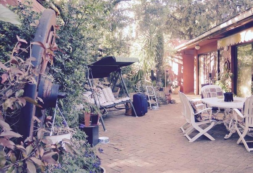 Bed and Breakfast Roland S Rendezvous 8