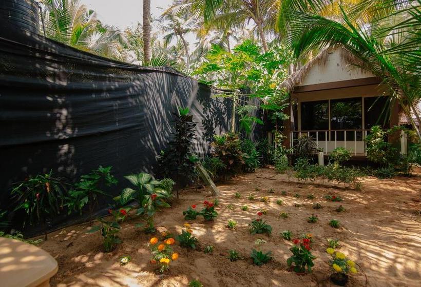 Bed and Breakfast Forget Me Not Resort 13