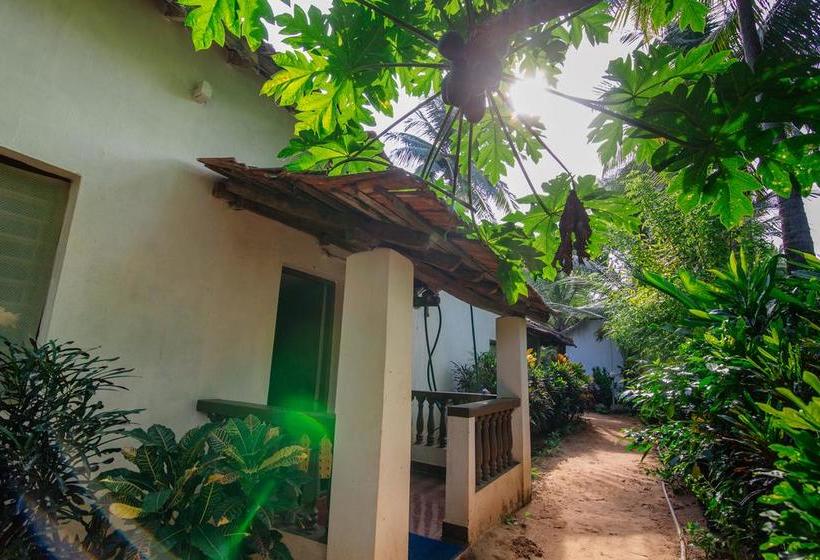 Bed and Breakfast Forget Me Not Resort 17