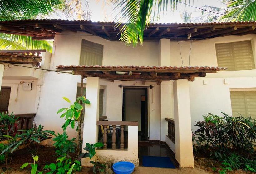 Bed and Breakfast Forget Me Not Resort 6