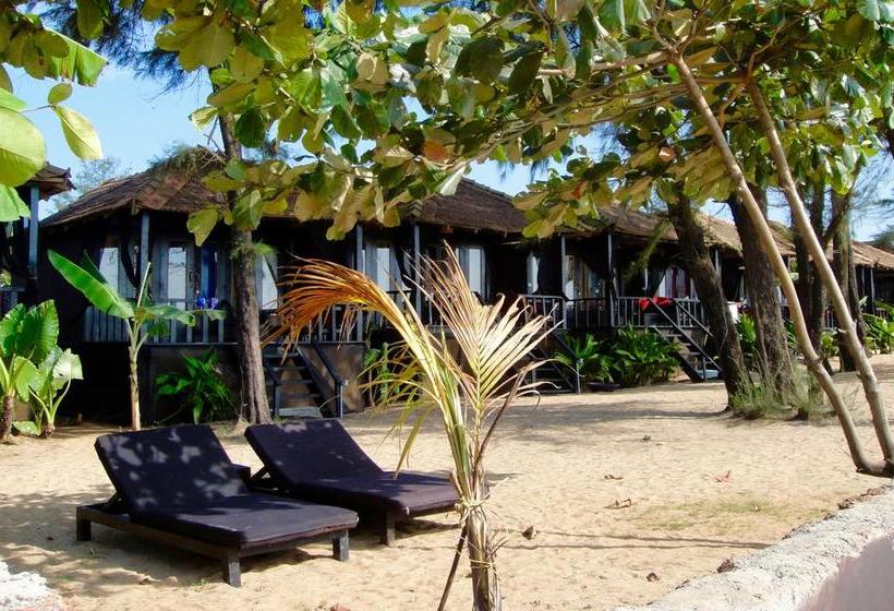 H2o Resort Agonda 11