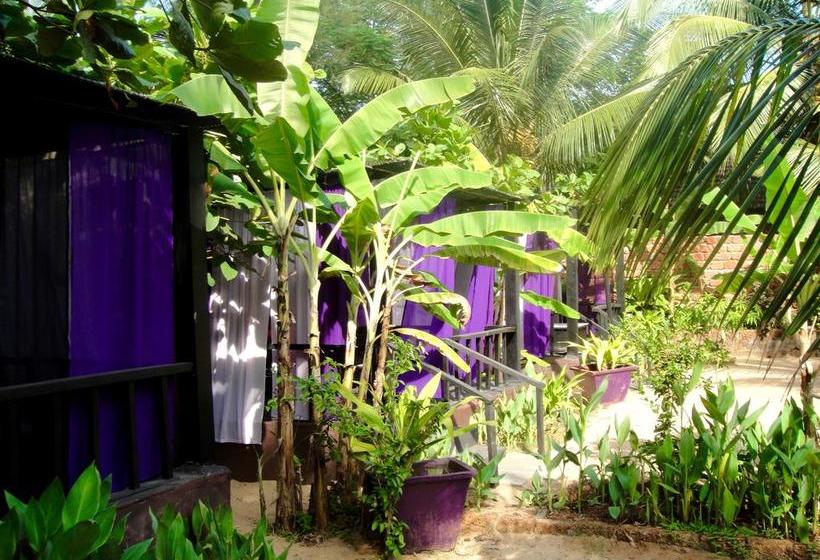 H2o Resort Agonda 17