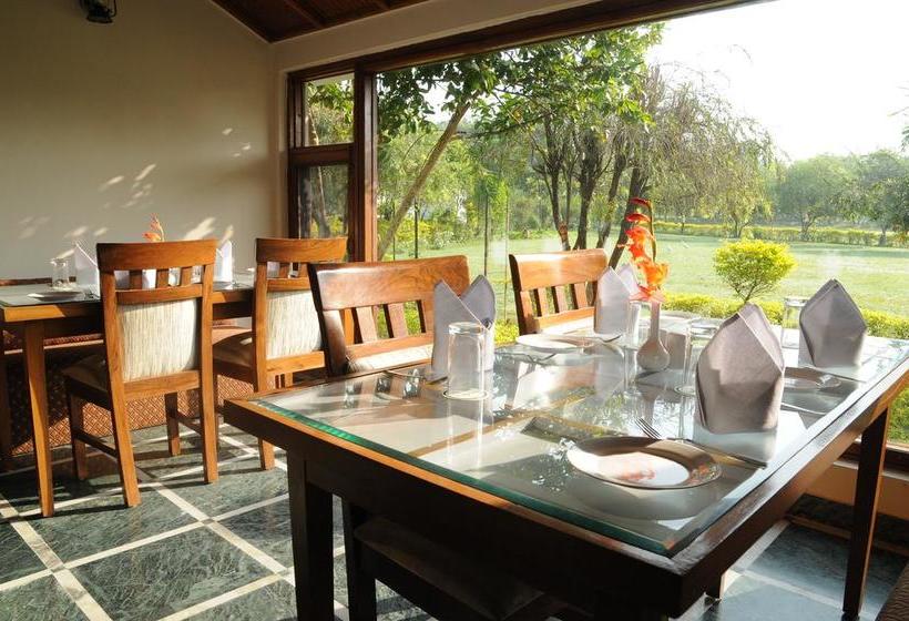 Resort Naturoville Ayurvedic And Yoga Retreat By Opensky 16