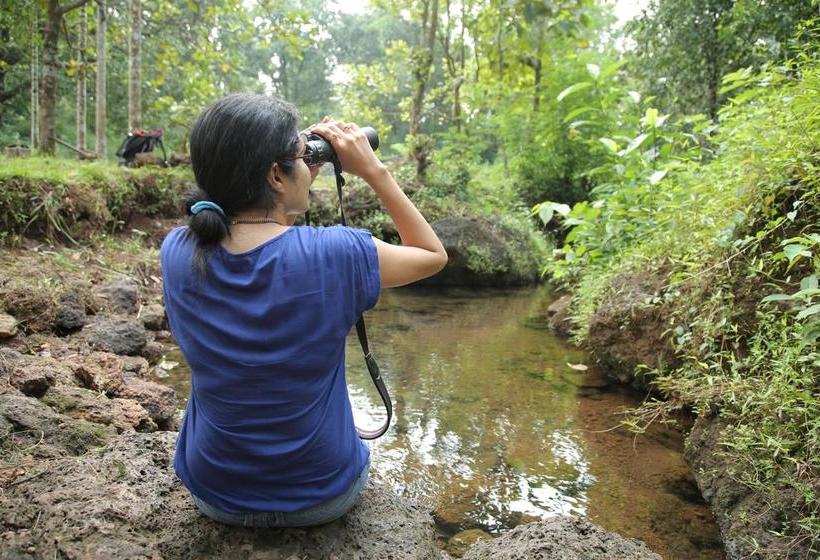 Resort Nature S Nest Goa 4