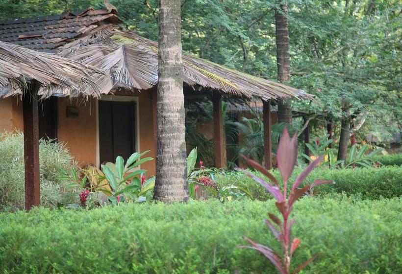 Resort Nature S Nest Goa 7