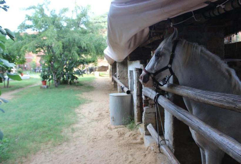 Hotel Shannu S Ranch Inn 13