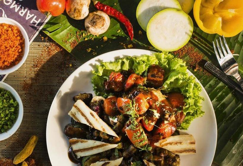 Harmonium Resorts Agonda 16