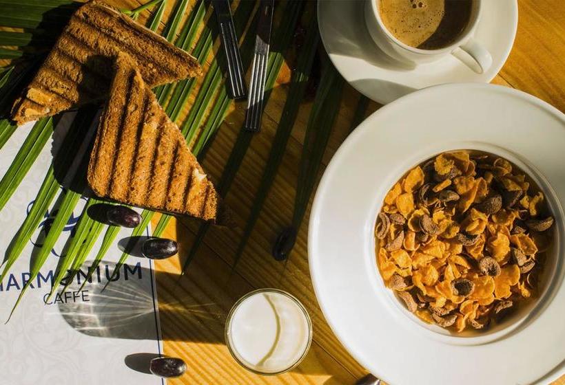 Harmonium Resorts Agonda 17