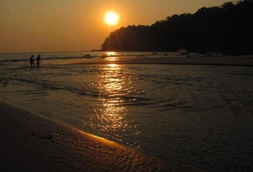 Bed and Breakfast Marvinns 11