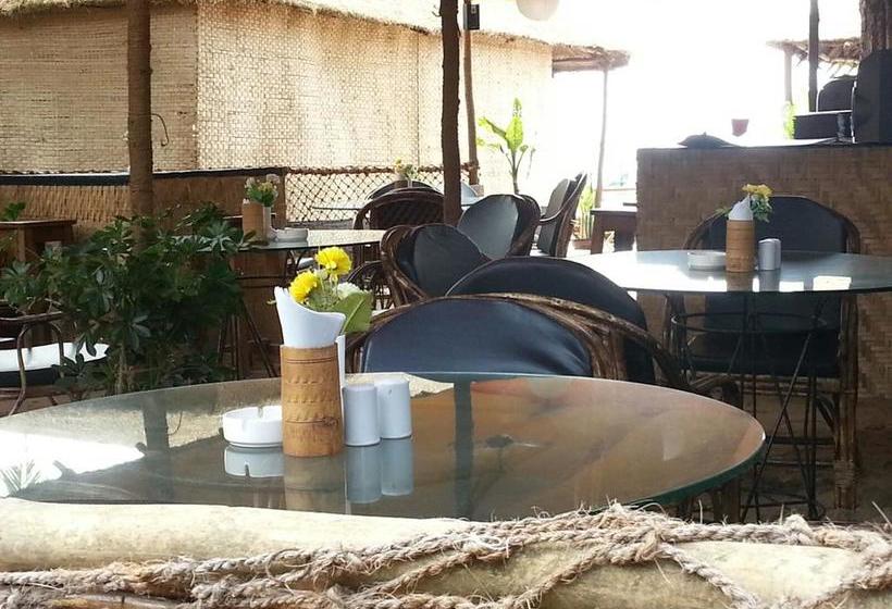 Bed and Breakfast Marvinns 14