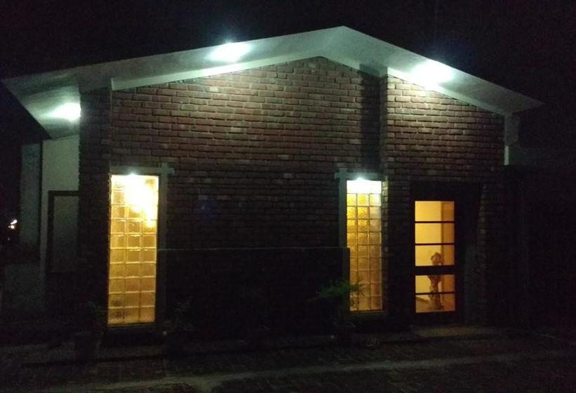 Green Backpacker S Hostel 1