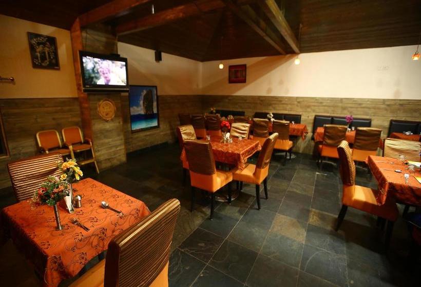 Hotel Oyo 728 Chennai Deluxe International 13