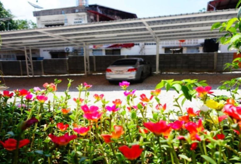 Hotel P.p. Palm Mansion 13