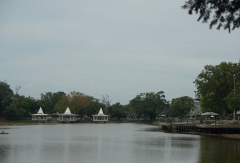 Hotel P.p. Palm Mansion 15