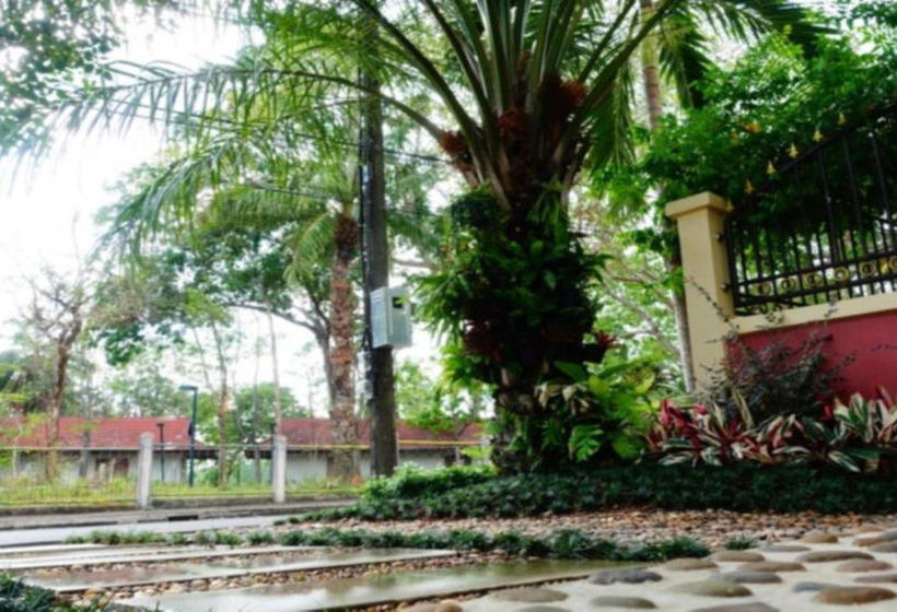 Hotel P.p. Palm Mansion 17