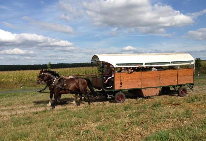Hotel Gasthof zur Linde 15