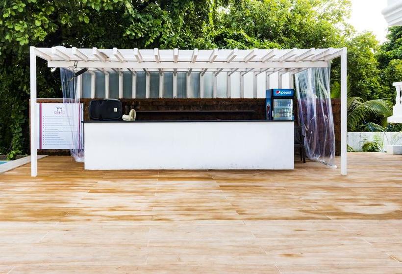 Hotel Casa Ahaana 20