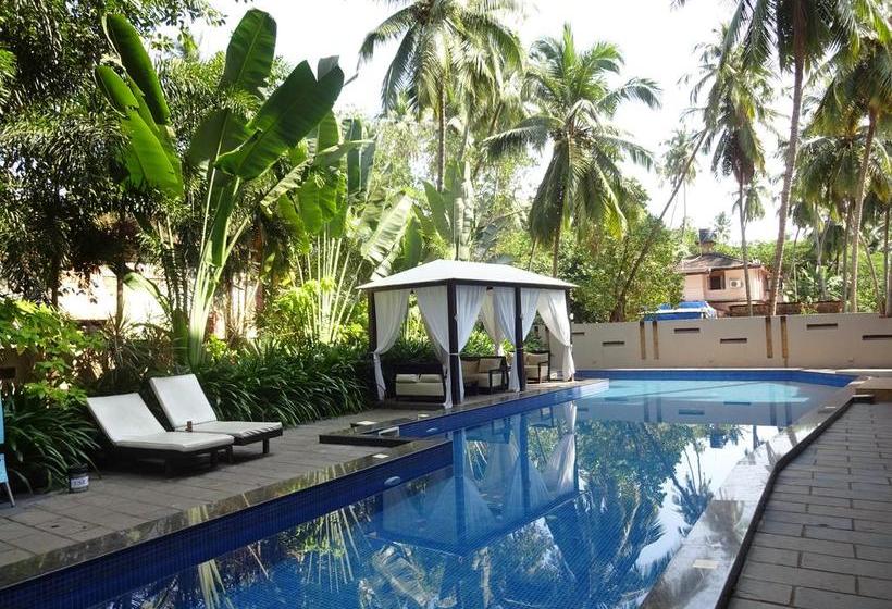 Hotel Sinq Signature 11