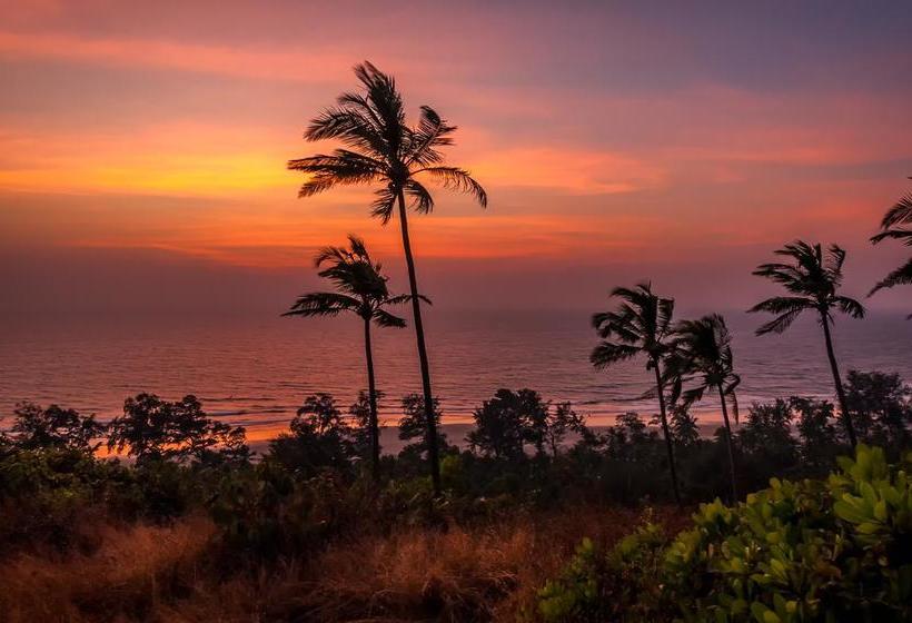 Resort Anahata Retreat 12