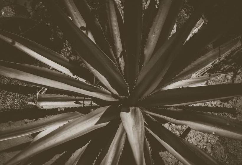 Resort Anahata Retreat 4