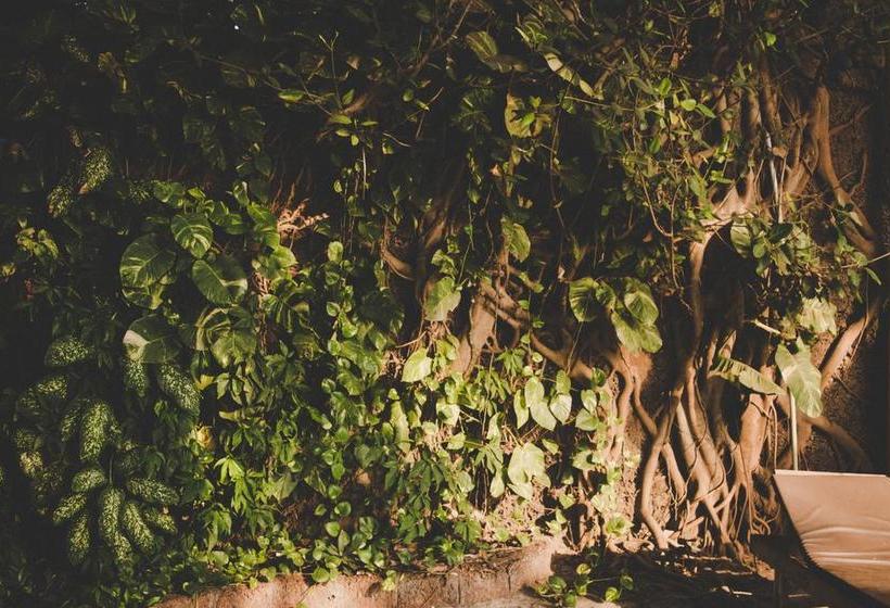 Resort Anahata Retreat 7