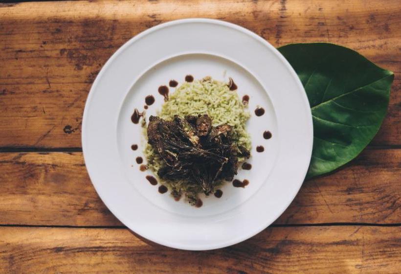 Resort Anahata Retreat 9