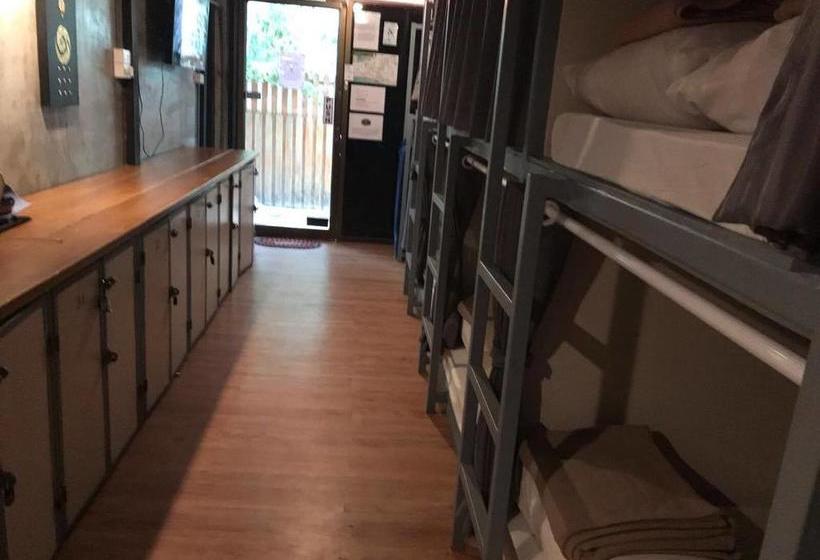 Coma Hostel And Travel Agency 9