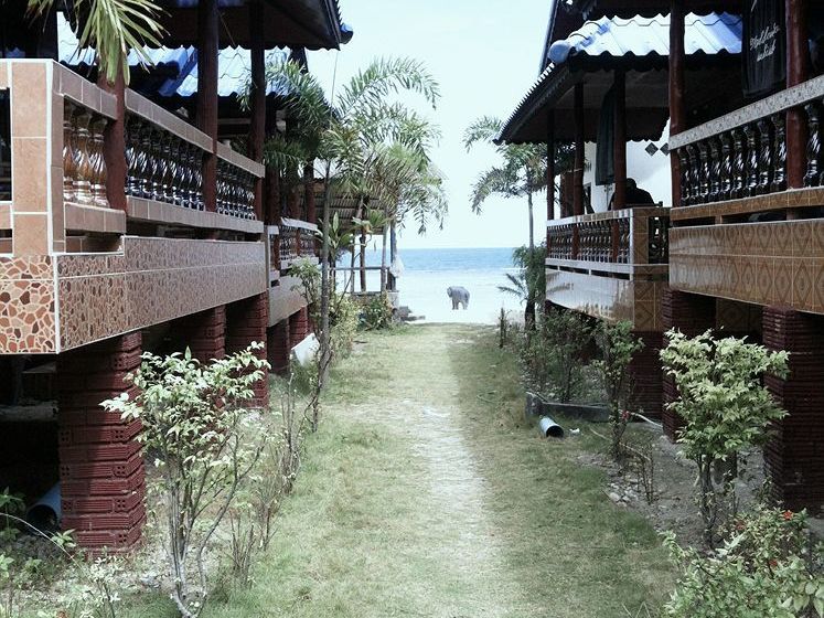 Hotel Euphoria Bungalow 15