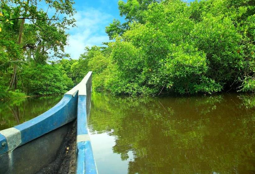 Resort Casa Marari 12