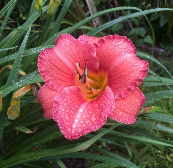 Waiheke Island Motel 19