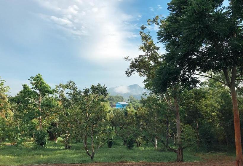 Resort The Box House 8