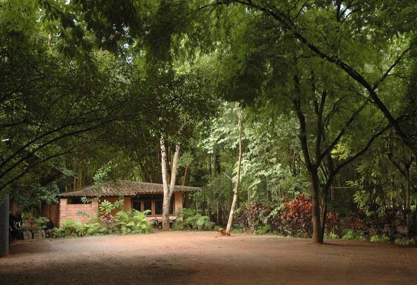 Resort Momchailai Forest Retreat 1