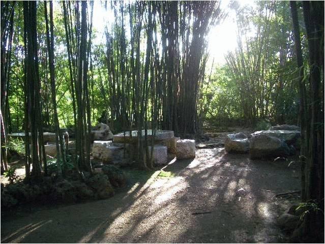 Resort Momchailai Forest Retreat 14