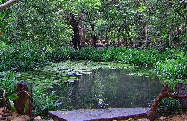 Resort Momchailai Forest Retreat 15