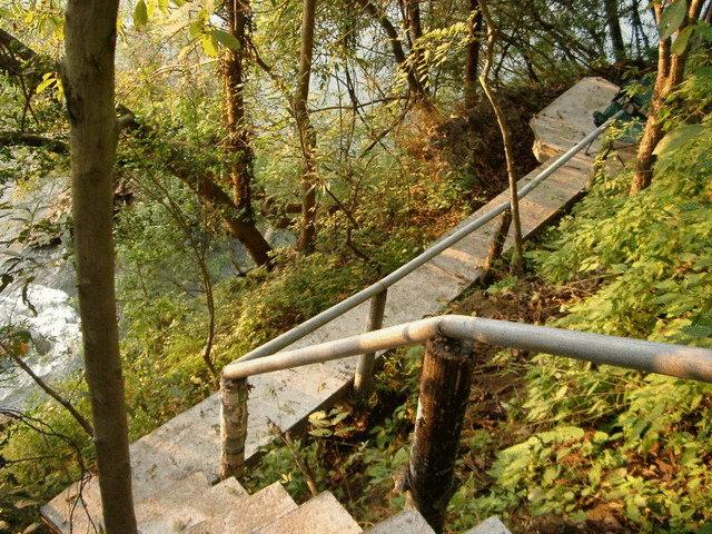 Resort Momchailai Forest Retreat 16