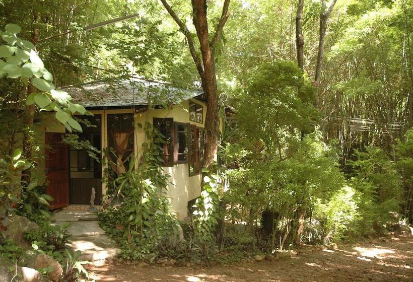 Resort Momchailai Forest Retreat 7