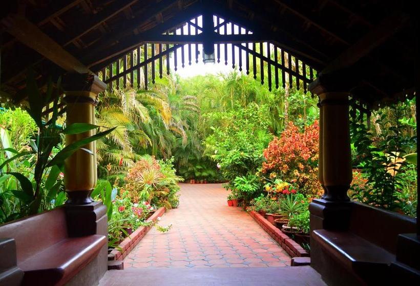 Palm Grove Cottages Leisure Resort 2