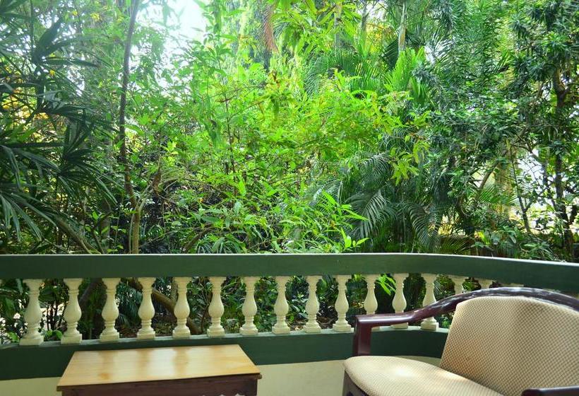 Palm Grove Cottages Leisure Resort 3